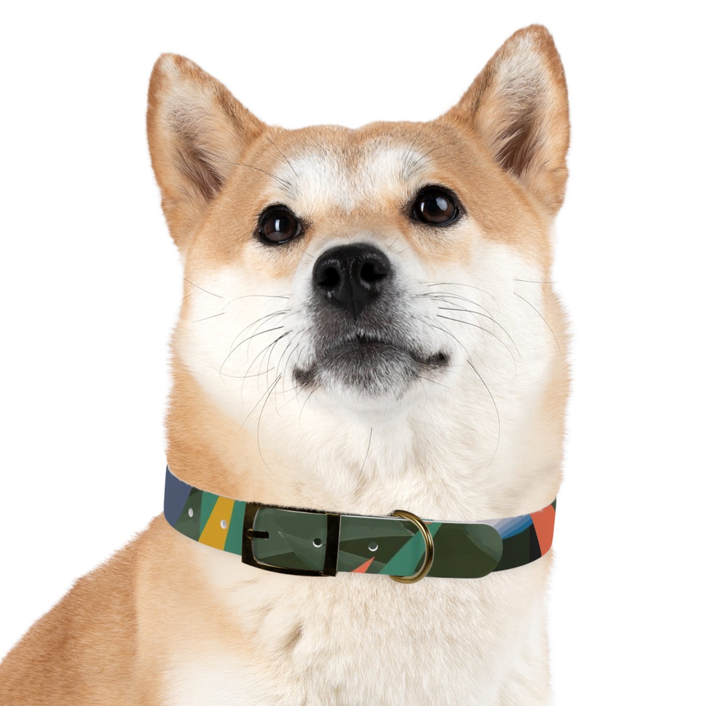 Bird of Paradise Dog Collar, Tropical Boho Dog Collar, Boho Dog Gift