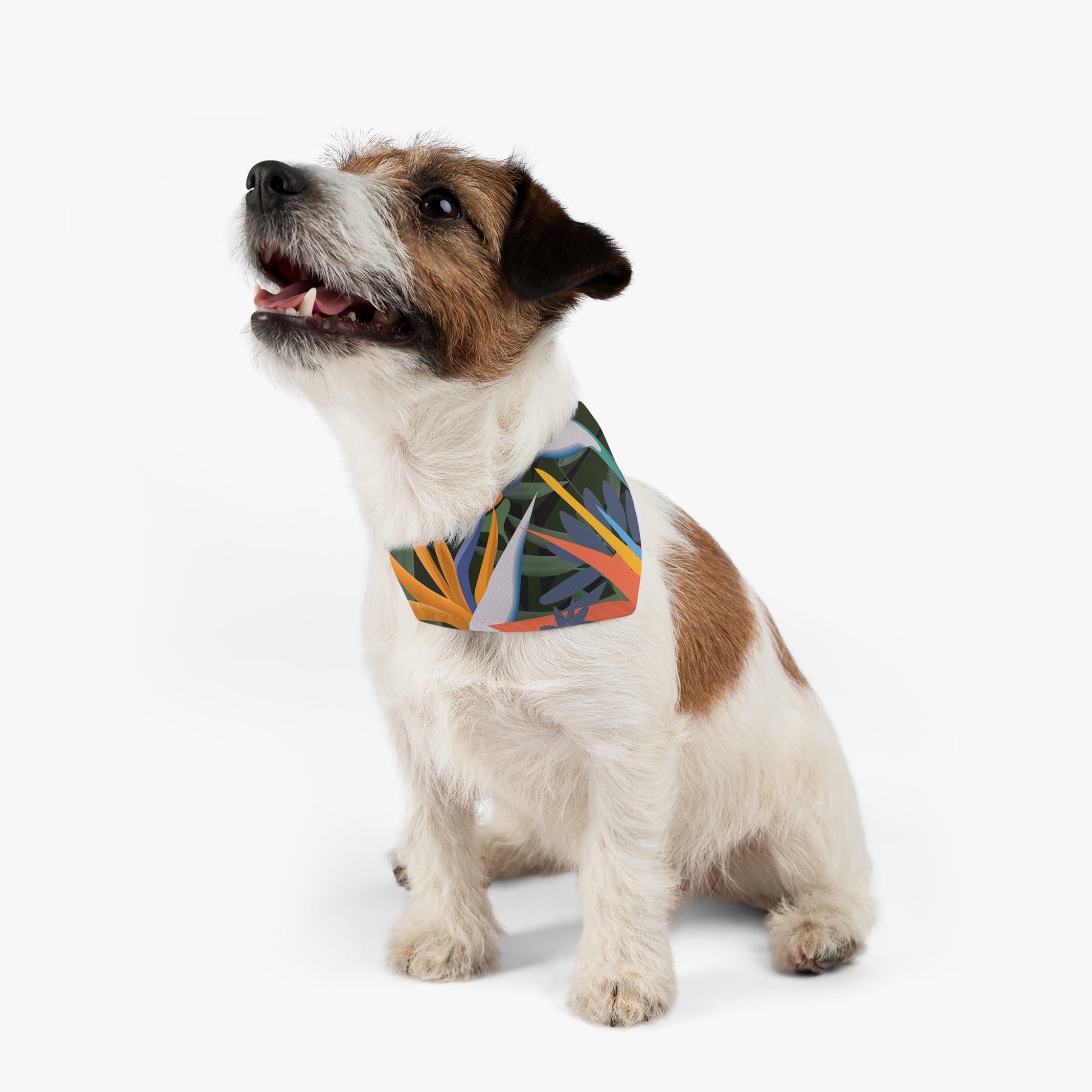 Bird of Paradise Dog Bandana Collar, Tropical Dog Gifts, Boho Dog Gift