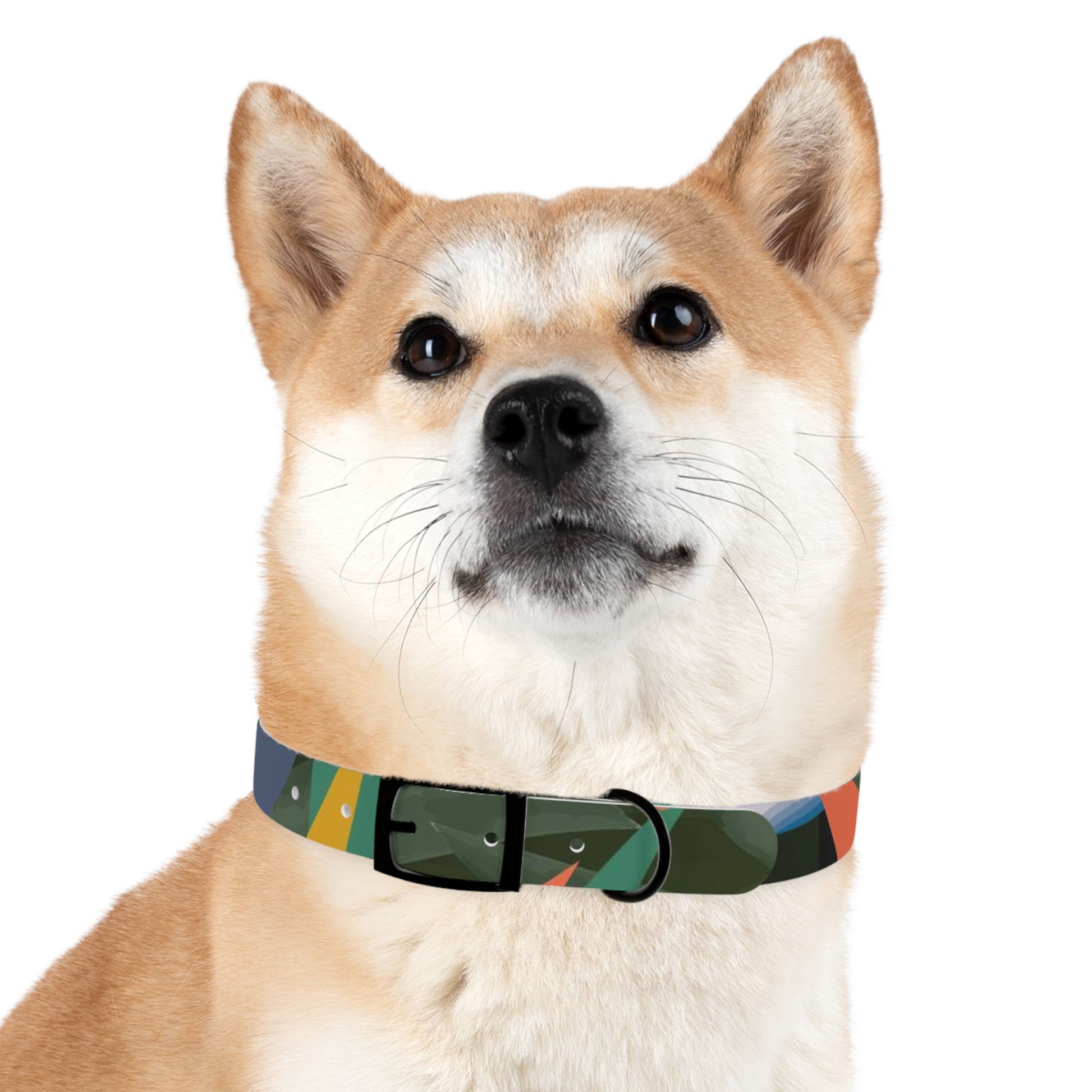 Bird of Paradise Dog Collar, Tropical Boho Dog Collar, Boho Dog Gift