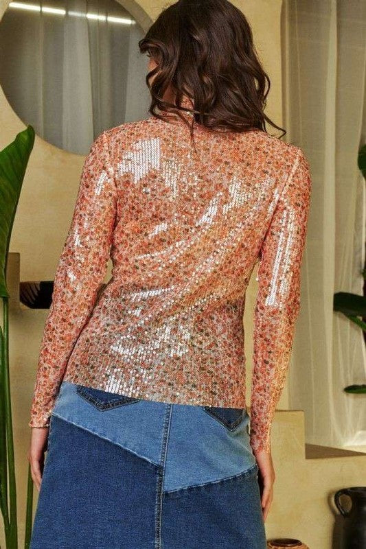 Sequin Long Sleeve Mesh Top