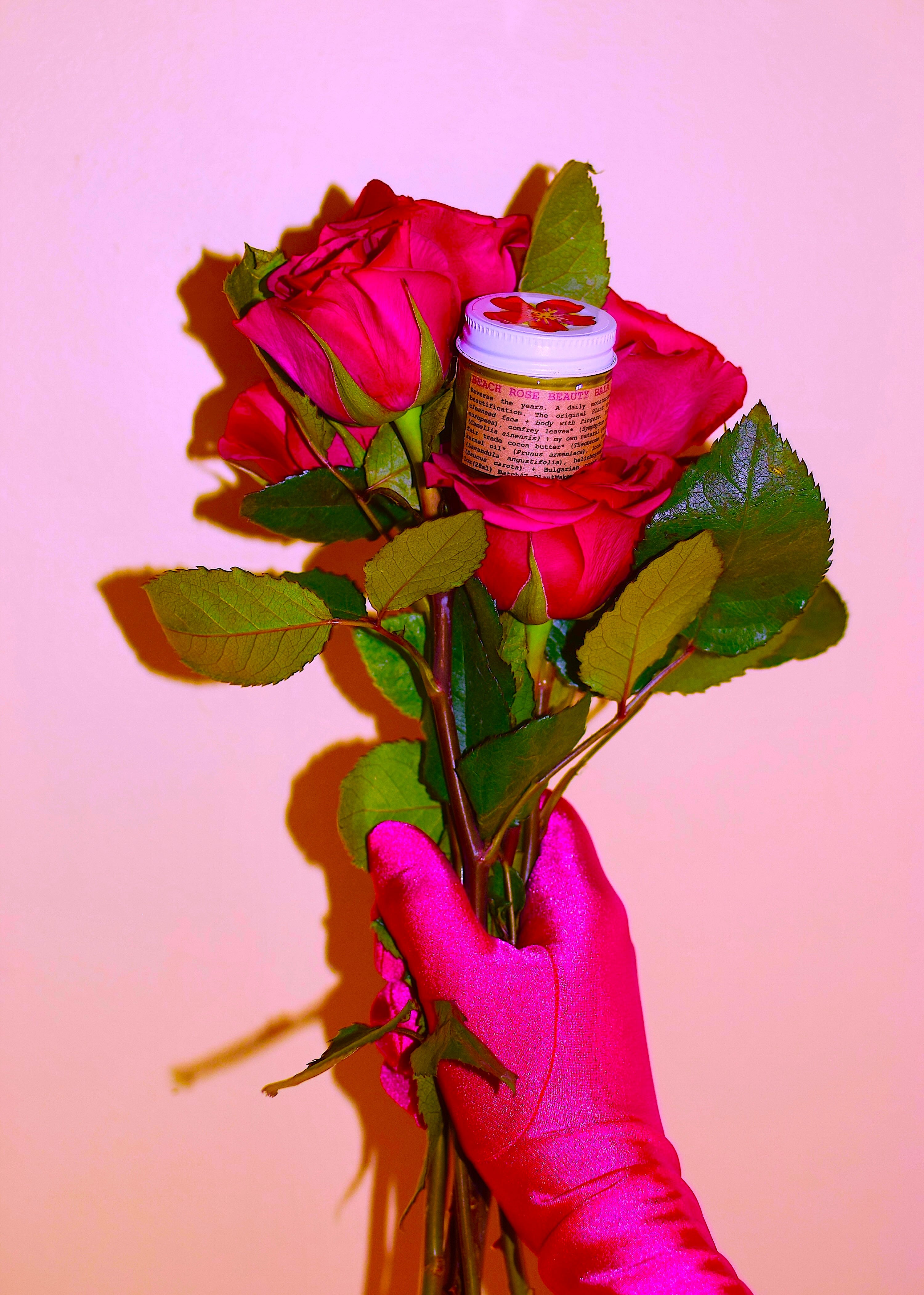 Beach Rose Beauty Balm - Handmade with Great Care