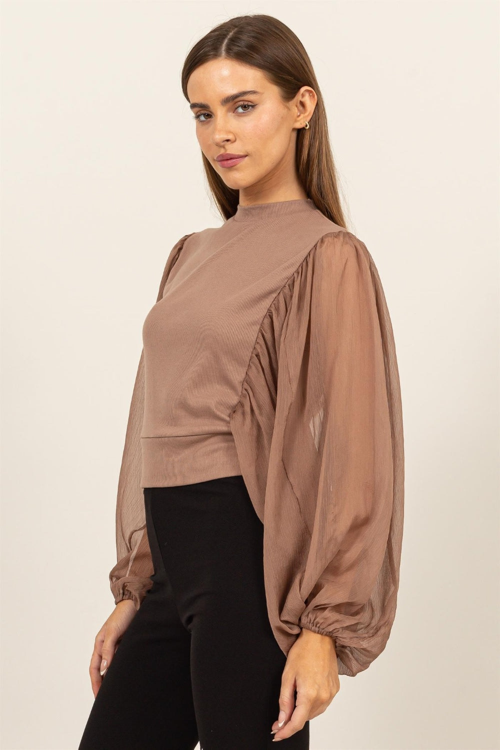 Sheer Long Sleeve Mock Neck Blouse