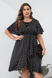 Plus Size Polka Dot Resort Dress