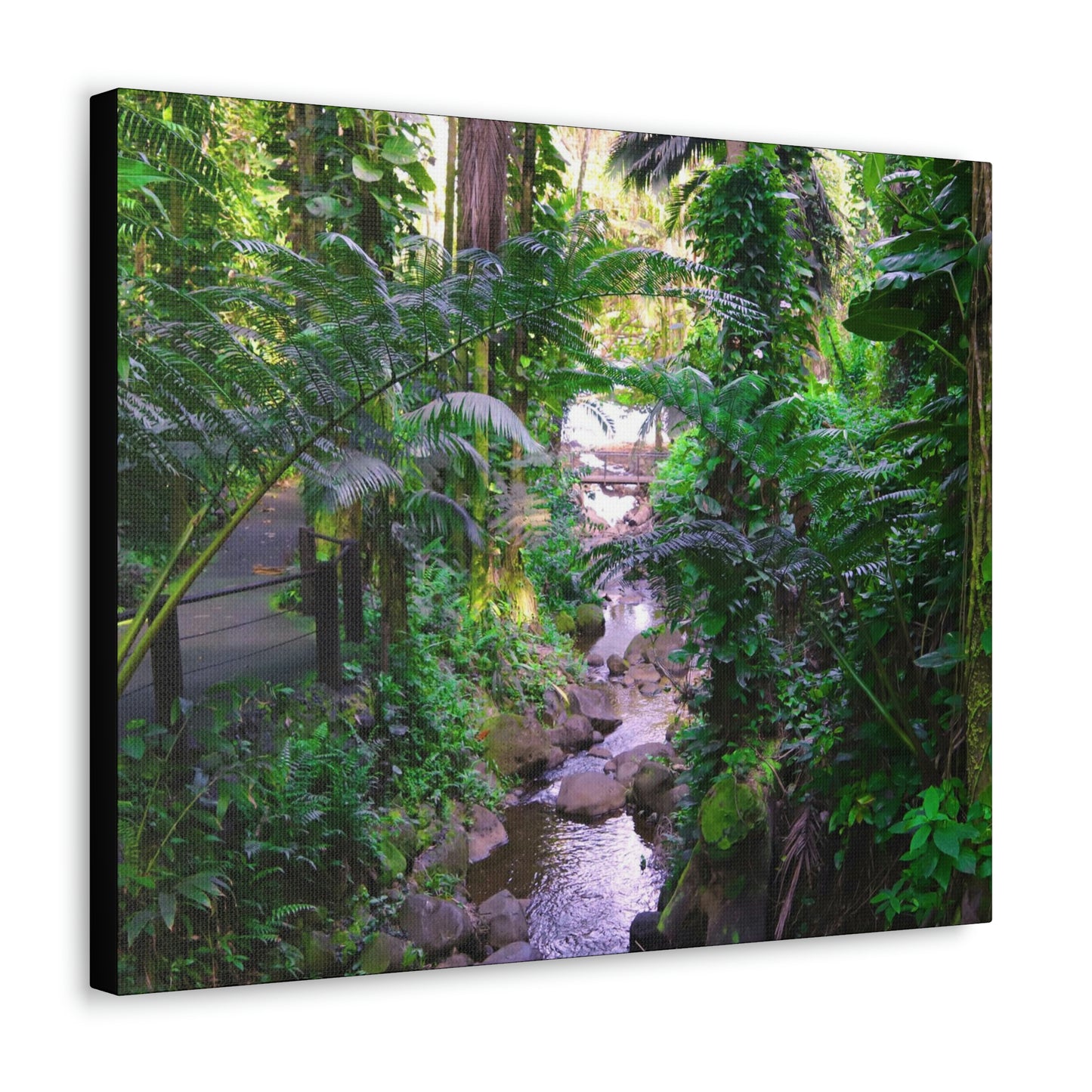 Jungle River Photo Hawaii Botanical Gardens Canvas Gallery Wraps