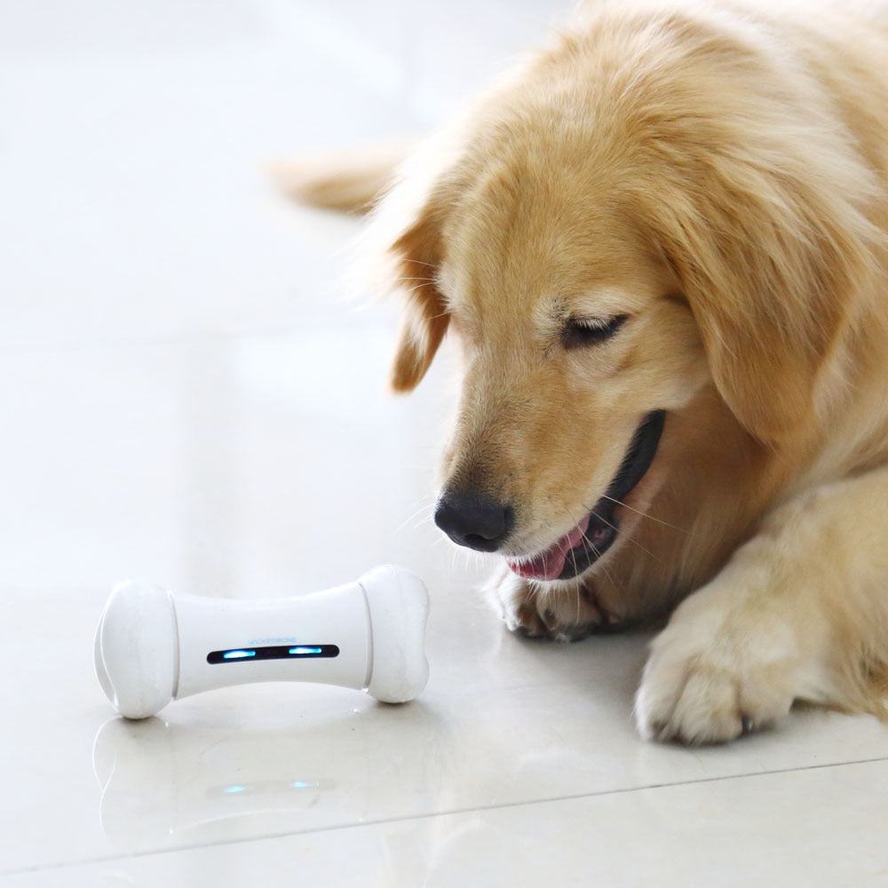 Pet Induction Interactive Toy, Dog Toy with App