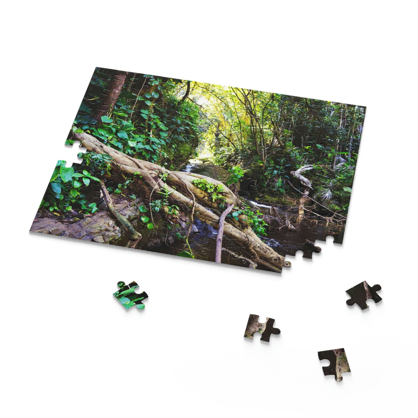 The Secret Path - Hawaii Botanical Garden Puzzle (120, 252, 500-Piece)