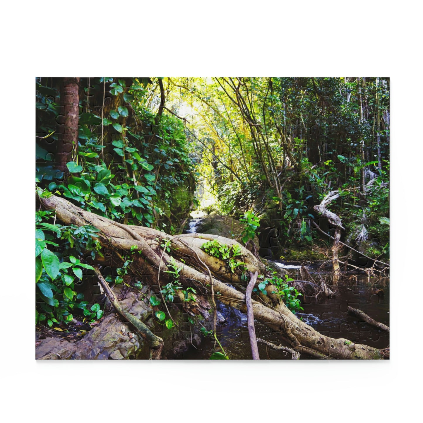 The Secret Path - Hawaii Botanical Garden Puzzle (120, 252, 500-Piece)