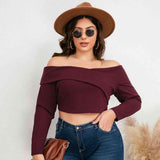 Plus Size Off-Shoulder Cropped Resort Top