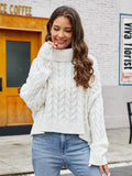 Turtle Neck Cable-Knit Sweater